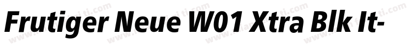 Frutiger Neue W01 Xtra Blk It字体转换